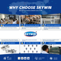 Système de mélange de pâte industriel Skywin pour la fabrication de biscuits et de gâteaux