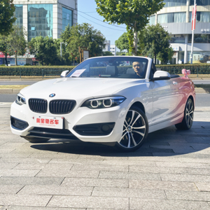 Un'auto sportiva convertibile di seconda mano di alta qualità e conveniente della serie 2 2019 2 serie 220i - Product Image 1