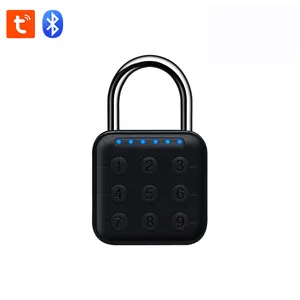 Shenzhen Fabricant Tuya Bluetooth Alimenté par Batterie Casier Étanche Valise/Bagages/sac à dos Clavier Numérique Cadenas