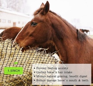 Grand <span class=keywords><strong>filet</strong></span> à foin rond pour les courses <span class=keywords><strong>de</strong></span> chevaux, fermes, 6*6 pieds, 5x5 pieds, 4x5 pieds - Product Image 2