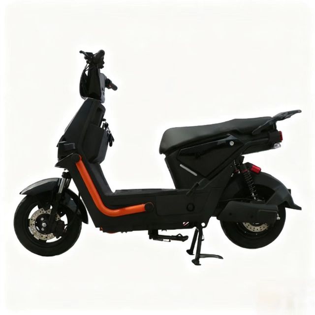 1500W/1000W Powerful Motor Electric Motorcycle Big Battery Long Range City Ebike