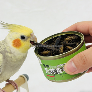 <span class=keywords><strong>Vente</strong></span> directe d'usine de <span class=keywords><strong>grillons</strong></span> noirs frais biologiques en conserve, aliments riches en protéines pour animaux de compagnie (poulets, oiseaux, tortues, poissons) - Product Image 5