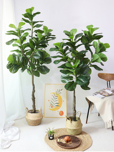 120cm/140cm/180cm nhân tạo ficus lyrata Bonsai mô phỏng cao trong nhà trang trí nội thất nhựa cây sàn cho cây nhân tạo - Product Image 6