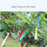 100 Étiquettes en PVC à boucle de 21*2 cm (8,26*0,78 pouces) pour plantes, étiquettes décoratives en PVC à suspendre