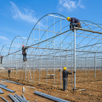 Serre en film à simple travée facile à installer pour semis et agriculture à petite échelle avec couverture résistante aux intempéries