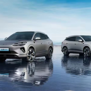 Sea Lion 06DM 2025 170km Navigator Plus Edition Disponibile Nuova Auto Usata <span class=keywords><strong>in</strong></span> Vendita Eco-Innovazione <span class=keywords><strong>in</strong></span> Movimento: Nuovi Veicoli Elettrici Disponibili - Product Image 1