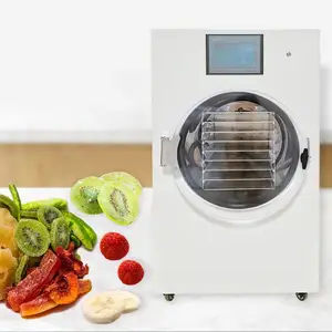 Household 6Kg 8Kg Fruit Food Mini Vacuum Dried Home Freeze Dryer Lyophilizer With Vacuum Pump Machine