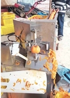 Hoge Kwaliteit Single Riem Type Persimmon Schilmachine Fruit Persimmon Dunschiller Machine Prijs