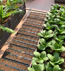 Plateau de semis en PP noir à 32/50/72/128 alvéoles pour légumes, plateau de culture, plateau de germination pour semis en serre - Vente en gros à prix réduit - Product Image 3