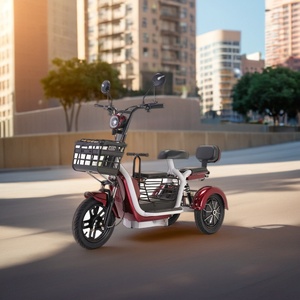 Nouveau design 2024 Citycoco 600W Tricycle électrique à trois roues en acier et en fer 48V avec frein à tambour pour passager Batterie amovible - Product Image 2