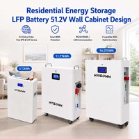 Batterie de stockage d'énergie résidentielle Hysonn LFP 51,2 V, conception en armoire murale pour villas solaires et projets d'approvisionnement en gros OEM