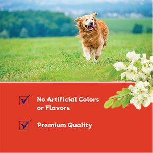 Trattamento delle infezioni del tratto urinario gatto & cane cura integratore liquido vescica e supporto renale per cani e gatti - Product Image 6