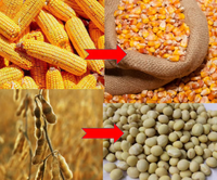 Machine à battre automatique multifonctionnelle économique et durable pour la séparation des grains