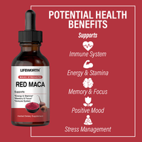 LIFEWORTH OEM Male Improve Endurance Anti Fatigue Men Oyster Maca Extract Oral Liquid Drink