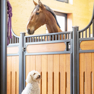 Fabriek-Direct Aanpasbare Paardenhuiskooi Milieuvriendelijk Comfortabel Modern Oem Huisdierenproduct Herbruikbaar Zeer Kosteneffectief - Product Image 2