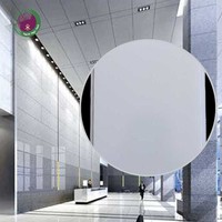 Paneles de Techo de PVC Blancos Impermeables para Decoración de Interiores, Paneles de Techo de PVC Ignífugos Personalizados de 8 mm para Salas de Reuniones