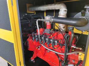 Generator Biogas 30kW 40kW 50kW 100kW 200kW Generator Gas Alam / Biogas untuk Penggunaan Rumah Tangga/Generator Gas LPG - Product Image 3