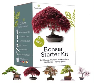 <span class=keywords><strong>Kit</strong></span> de <span class=keywords><strong>Cultivo</strong></span> de Bonsái OEM Xiamen, 5 Bonsáis Listos para Cultivar, Regalo de Jardinería y Decoración para Niños, para el Hogar, con Flores Artificiales - Product Image 1