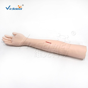 Modèle de bras pour suture chirurgicale avancée VIC439, modèle d'entraînement à la suture pour étudiants en médecine - Product Image 2