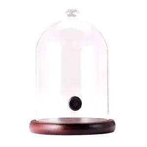 Wholesale Factory Cheap Glass Dome Cloche Glass With Wood Base For DIY Decoration Glass Dome For Cocktail Instant Cool