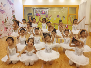 Tutù 2025 per bambine gonna per bambini allenamento di danza del cigno indossare abiti <span class=keywords><strong>Tutu</strong></span> in Costume da <span class=keywords><strong>Ballerina</strong></span> - Product Image 3