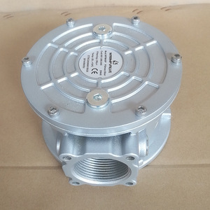 ตัวกรองก๊าซธรรมชาติ/ก๊าซถ่านหินแบบเกลียว DN40 ตัวกรองก๊าซปิโตรเลียมเหลว อุปกรณ์ผลิตก๊าซแบบจ่ายตรง อะไหล่อุปกรณ์ผลิตก๊าซ - Product Image 2