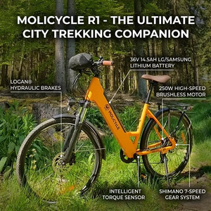 Vélo hybride électrique Molicycle R1 Batterie 36V 14.5Ah Moteur 250W 3 modes de conduite Vélo électrique de 26 pouces pour banlieue urbaine - Product Image 5