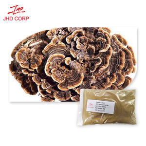 ผงสารสกัดจากเห็ดหลินจือผงสารสกัดจากเห็ดหลินจือเหลืองเห็ด - Product Image 2