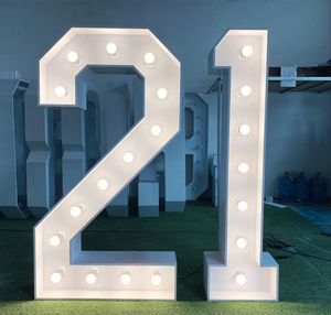 Lampe LED 3D Lumineuse Lettres Publicitaires « Moi & Toi » Peinture Blanche Alimentation par Prise Texte Statique Décoration de Mariage - Product Image 5