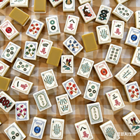 Set Ubin Mahjong Amerika Premium Mewah Motif Naga Bunga yang Indah 160PCS Ubin Akrilik Portabel Tahan Lama untuk Keluarga