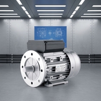 Moteur asynchrone monophasé à induction AC OMEIK MY711-2 (0,37 kW) 50/60 Hz, protection IP44/IP54/IP55, 3000 tr/min, boîtier en aluminium