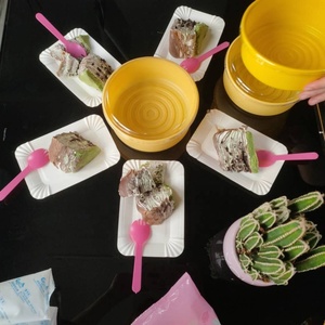 Cajas de Espuma Desechables Personalizadas para Alimentos Congelados, Cajas de Envío para Pasteles, Pasteles Frescos - Product Image 4