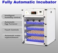 Incubateur d'oeufs à couver de volaille automatique en PVC 272 V, contrôle de la température et de l'humidité pour poulet, canard, oie, caille, oiseau, 220