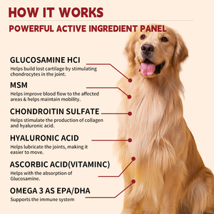 Büyük Irk Köpekler İçin Kondroitin ve MSM İçeren Yüksek Proteinli Kas Geliştirici Yumuşak Çiğneme Tabletleri, Köpekler İçin Kalça ve Eklem Takviyesi - Product Image 6