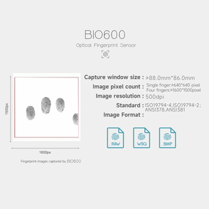 Độ chính xác cao USB sinh trắc học Máy quét dấu vân tay mười ngón tay đăng ký hệ thống chụp 500 DPI cải thiện quét chính xác Chứng Khoán - Product Image 6