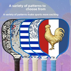 Ensemble de raquettes de pickleball imprimées UV, 250 motifs de dessins animés, motif panda en fibre de verre, jouet familial pour sports de plein air, vente en gros - Product Image 4