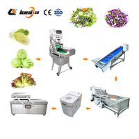 Sus 304 Saladeverwerkingsmachine, Saladesnijder, Apparatuur voor het wassen en snijden van koolsalade
