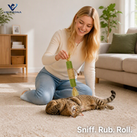 Bâton géant de catnip pour chat, jouet interactif avec corde en sisal et plumes pour le jeu