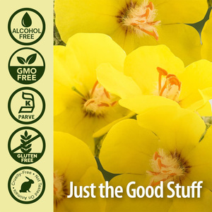 OEM/ODM オーガニック マレインエキス サプリメント ドロップス 呼吸器系と免疫サポート、自然な肺の浄化と消化の健康維持に - Product Image 3