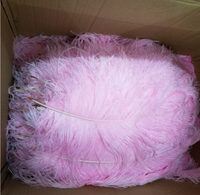 Plumes d'autruche teinte violette 28-30 pouces/70-75cm, plumes colorées, carnaval, prix de gros