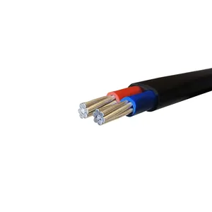 Kabel konsentris konduktor Aluminium jaket PVC harga bagus 2x16mm2 kabel listrik 0.6/1kv