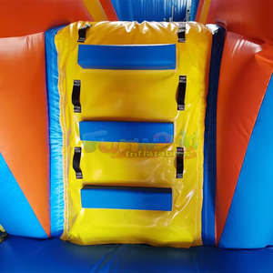 Chateau gonflable commercial bounce house adults inflatable dolphin bouncy castle and slide combo - Product Image 6