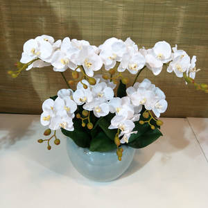 Film-bertekstur dua cabang <span class=keywords><strong>Mini</strong></span> <span class=keywords><strong>Phalaenopsis</strong></span>, bunga buatan pernikahan, dekorasi rumah sentuhan lembab - Product Image 3