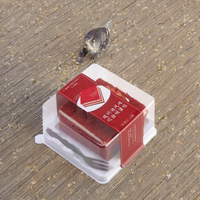 Vente directe d'usine, boîte d'emballage en plastique transparente carrée personnalisée pour gâteaux, jetable, pour utilisation en exposition
