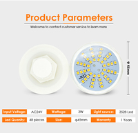 Lampes décoratives à points populaires Decorlite Cabochon 60mm de diamètre 24V E14 LED RGB 48 pièces IP65 en plastique pour parcs à thème