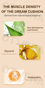 Logo personnalisé vente en gros de bases cosmétiques maquillage coussin d'air <span class=keywords><strong>CC</strong></span> fond de teint crème pour <span class=keywords><strong>peau</strong></span> <span class=keywords><strong>noire</strong></span> - Product Image 3