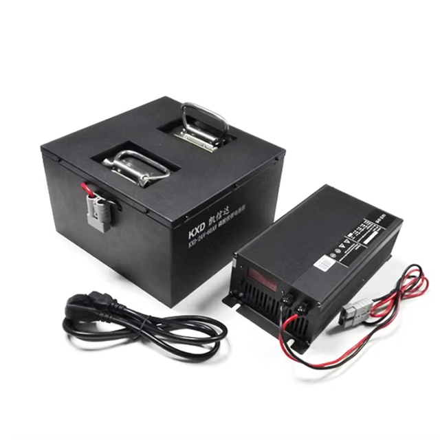 LiFePO4 Battery Pack 24V 40AH 60AH 80AH Lithium Iron Phosphate Battery for Electric Car