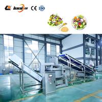 Industriële kersentomaat-bubbelwasmachine, saladehakselaar, saladebereidingsmachines, versaladeverwerkings- en verpakkingslijn