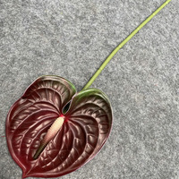 Bunga Anthurium Artificial 60cm Grosir, Plastik Lembut, Sentuhan Realistis untuk Dekorasi Rumah, Pesta Pernikahan, Hiasan Meja