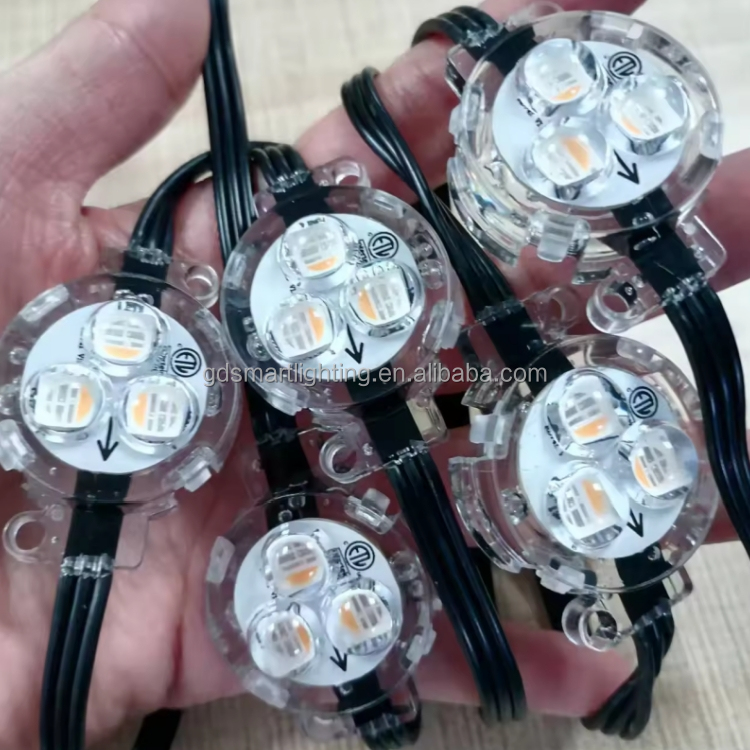 RGBW Permanent Outdoor LED Pixel Point Light 12V With Smart Control IP67 for Christmas Permanent Holiday Lighting on House Eave